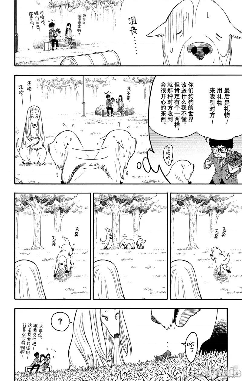 SPY×FAMILY间谍家家酒 间谍过家家082 短篇番外8.zip 第10页