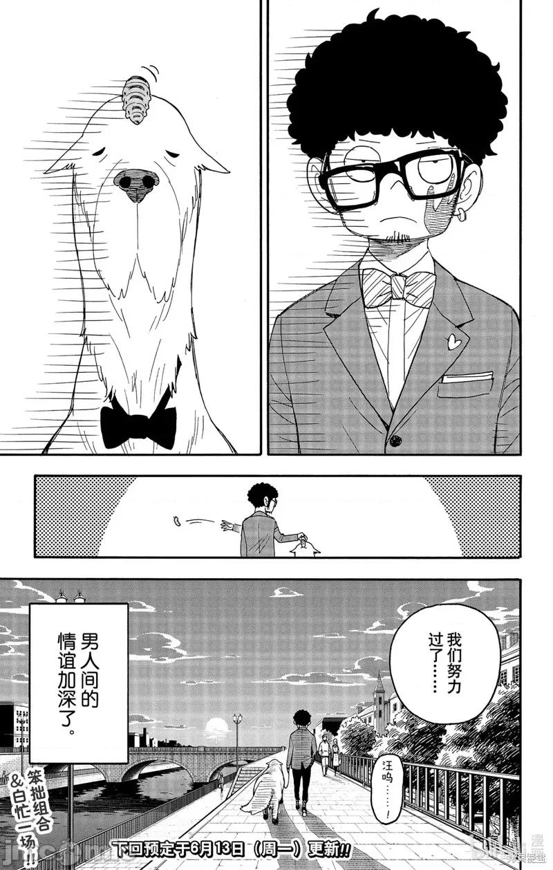 SPY×FAMILY间谍家家酒 间谍过家家082 短篇番外8.zip 第12页