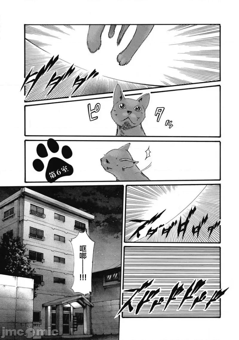 女子宿舍的猫咪小玉 女子寮猫のタマさん 6 第1页