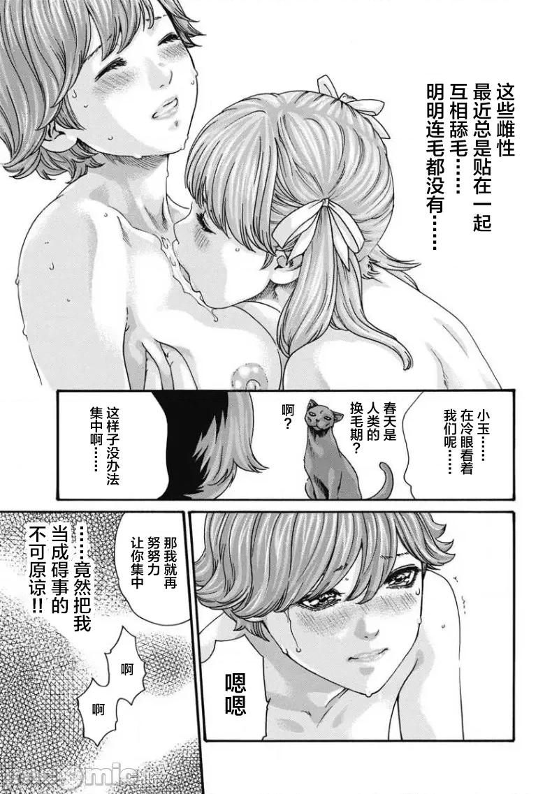 女子宿舍的猫咪小玉 女子寮猫のタマさん  16 第3页