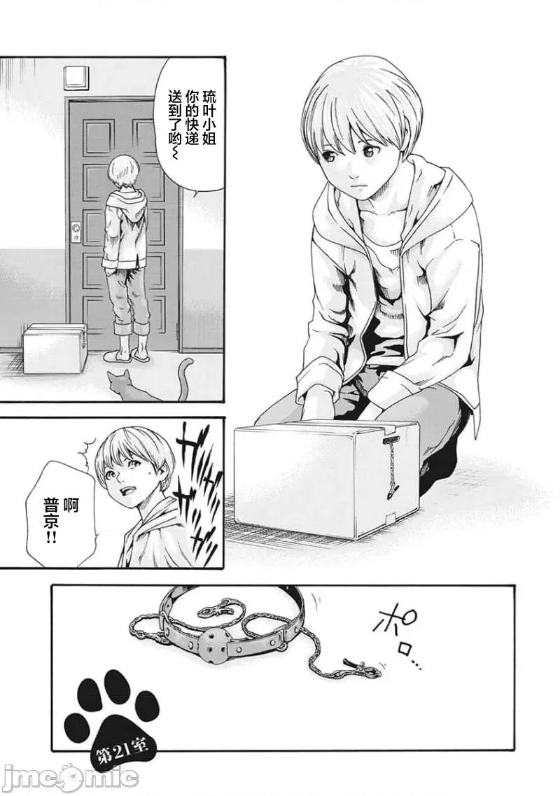 女子宿舍的猫咪小玉 【雷电将军】女子寮猫のタマさん21 第1页