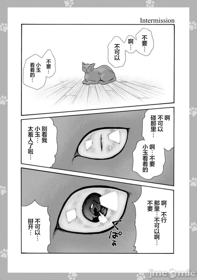 女子宿舍的猫咪小玉 0127 女子寮猫のタマさん 28 第1页