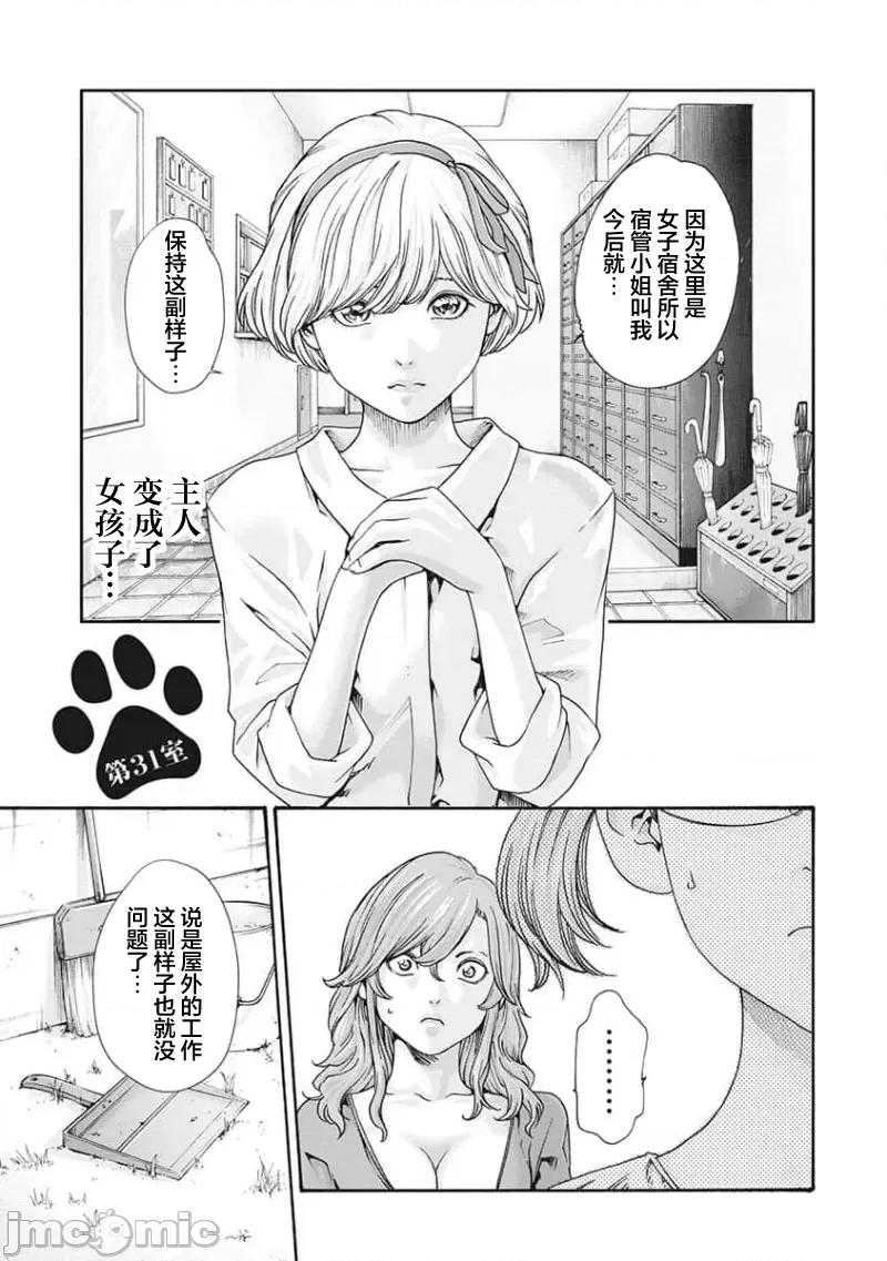 女子宿舍的猫咪小玉 女子寮猫のタマさん 31 第1页