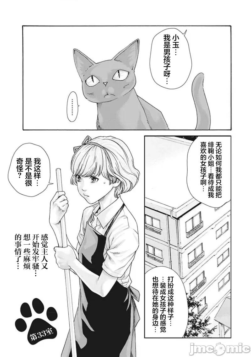 女子宿舍的猫咪小玉 【雷电将军】女子寮猫のタマさん 33 第1页