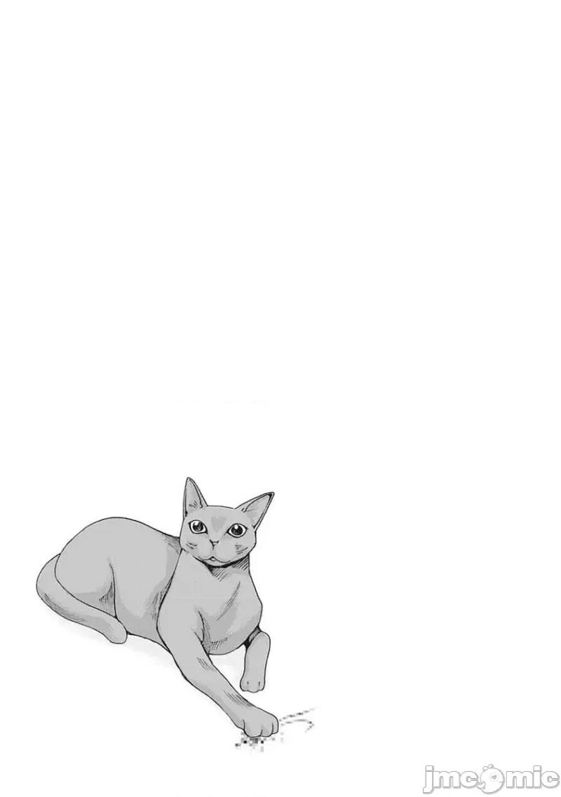 女子宿舍的猫咪小玉 【雷电将军】女子寮猫のタマさん 33 第9页