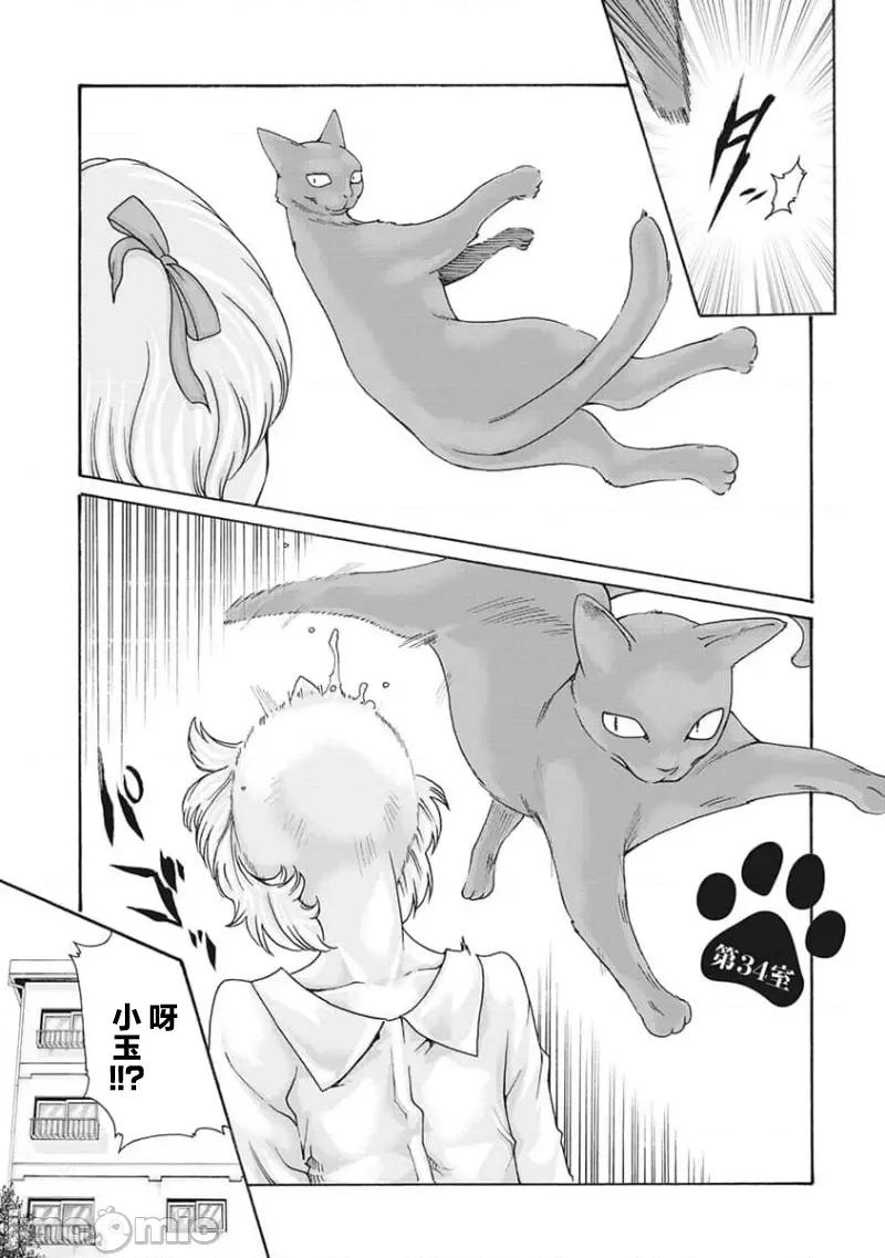 女子宿舍的猫咪小玉 女子寮猫のタマさん 34 第2页