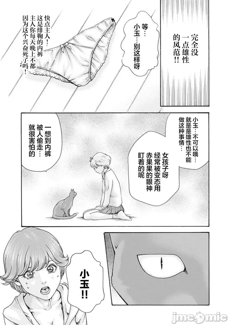 女子宿舍的猫咪小玉 女子寮猫のタマさん 34 第4页
