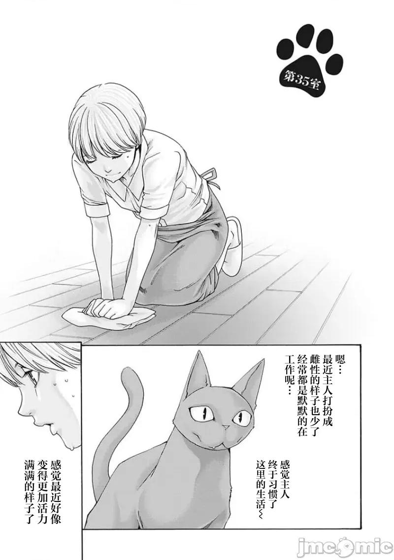女子宿舍的猫咪小玉 女子寮猫のタマさん 35 第1页