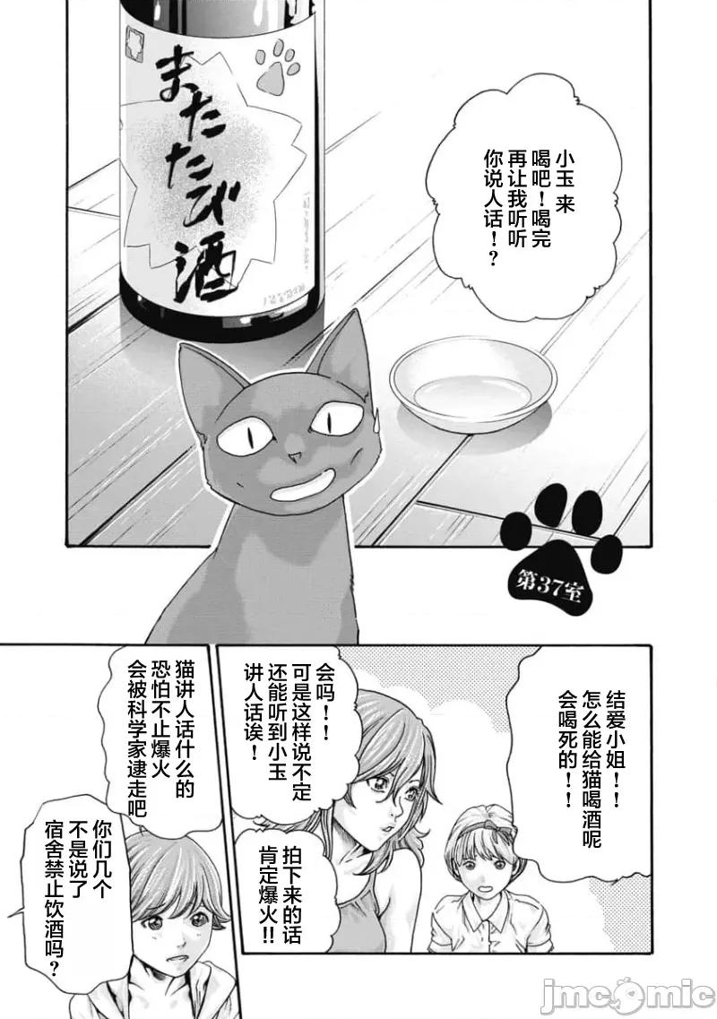 女子宿舍的猫咪小玉 女子寮猫のタマさん 37 第4页