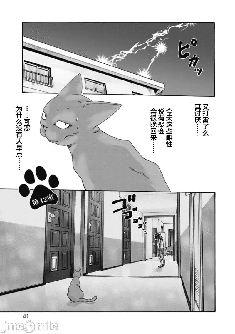 女子宿舍的猫咪小玉 女子寮猫のタマさん 42 第1页
