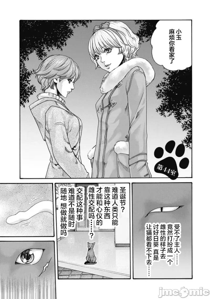 女子宿舍的猫咪小玉 女子寮猫のタマさん 44 第1页