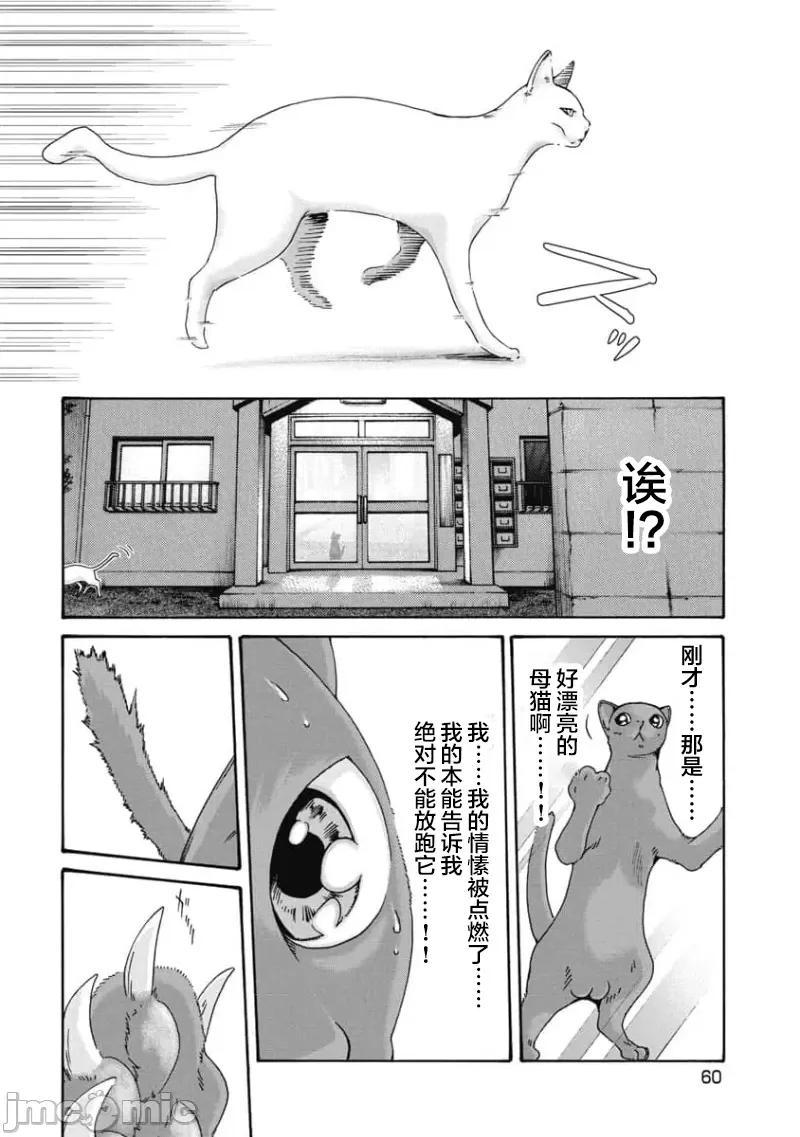 女子宿舍的猫咪小玉 女子寮猫のタマさん 44 第2页