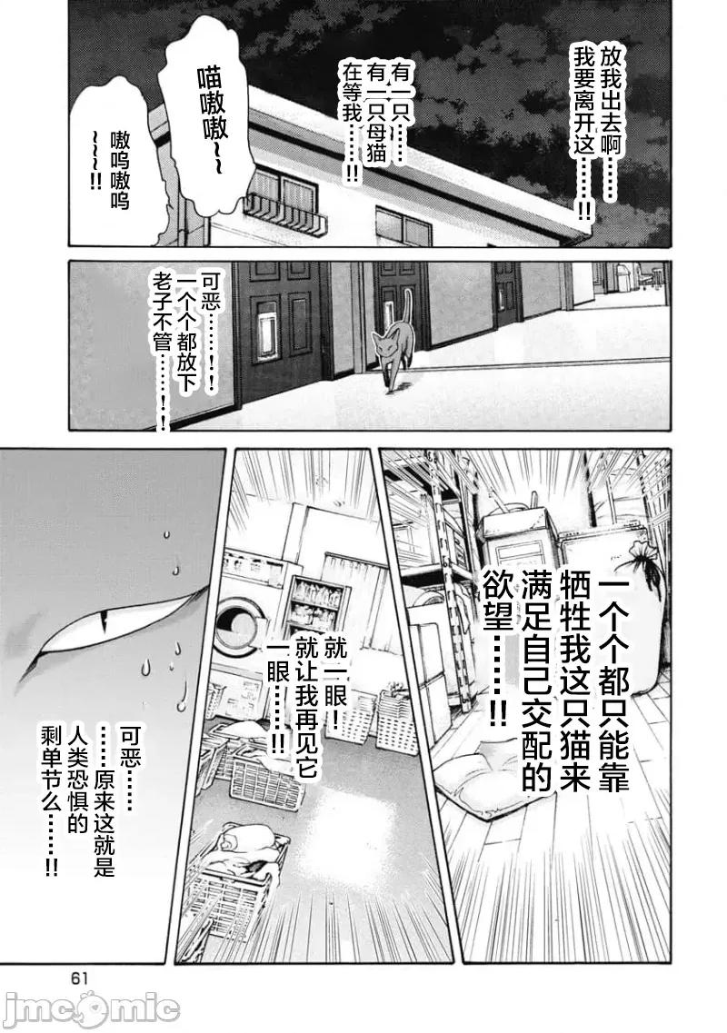 女子宿舍的猫咪小玉 女子寮猫のタマさん 44 第3页