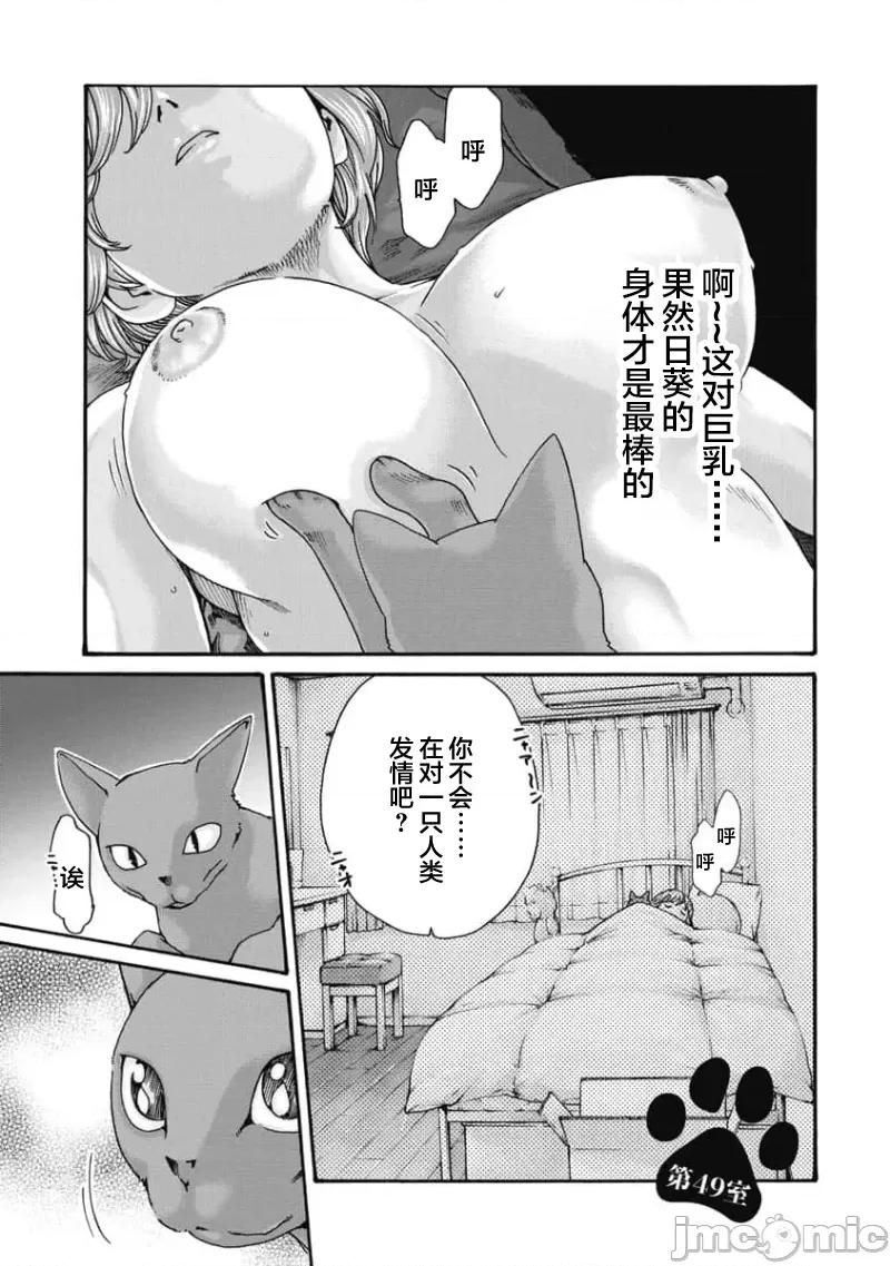 女子宿舍的猫咪小玉 女子寮猫のタマさん 49 第1页