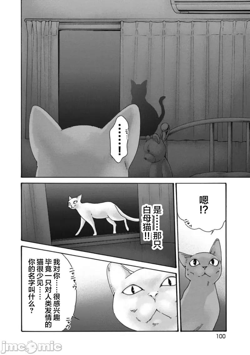 女子宿舍的猫咪小玉 女子寮猫のタマさん 49 第2页