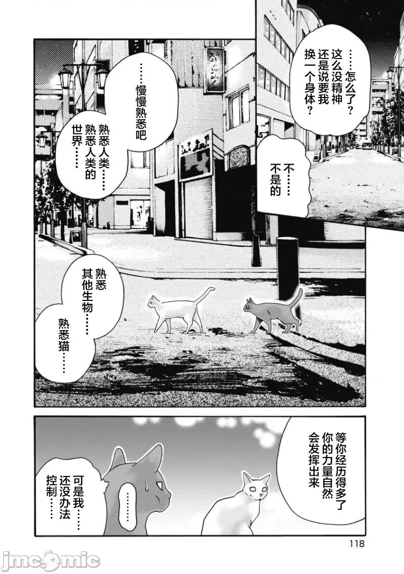 女子宿舍的猫咪小玉 女子寮猫のタマさん 51 第4页