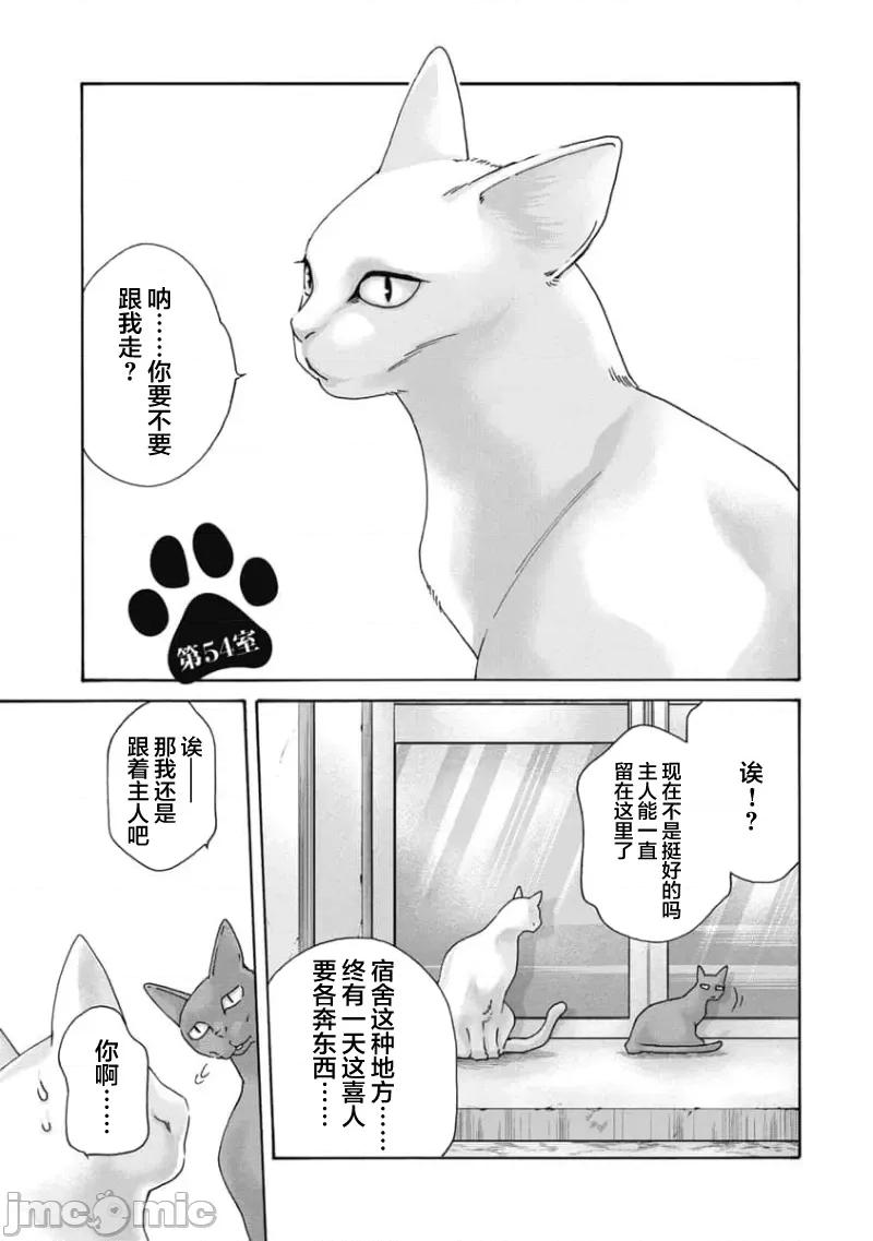 女子宿舍的猫咪小玉 女子寮猫のタマさん 54 第1页