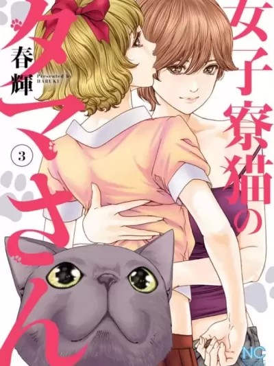 女子宿舍的猫咪小玉