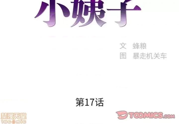 家中有个小姨子 家中有个小姨子 17 第2页