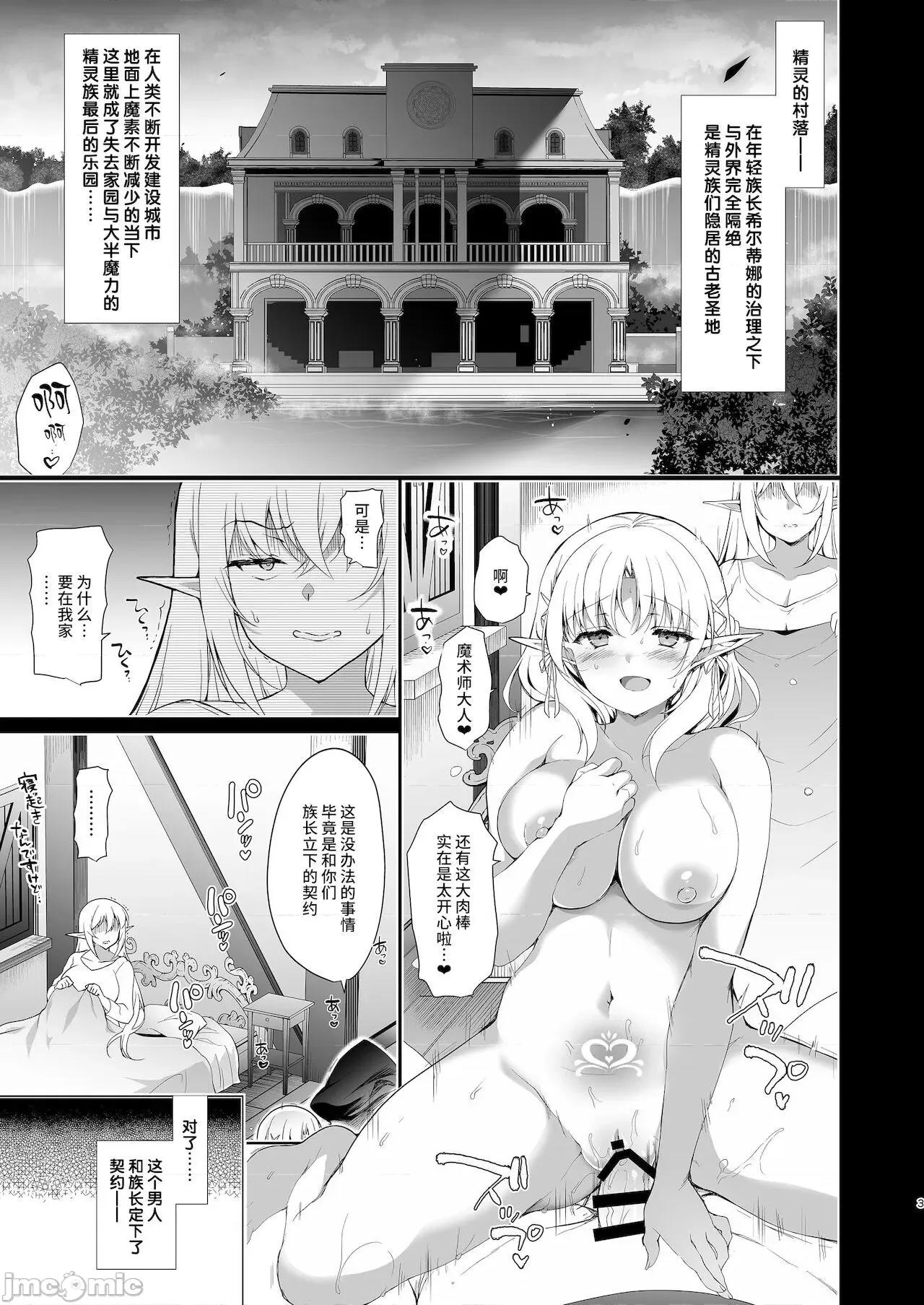 エルフに淫纹を付ける本 [不咕鸟汉化组] [にのこや (にの子)] エルフに淫纹を付ける本 LEVEL:1-7 [中国翻译] 第178页