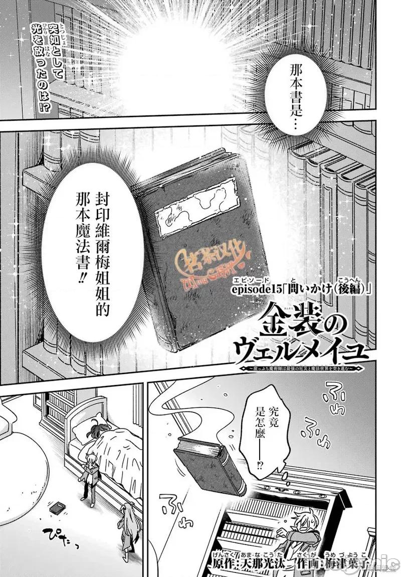 金装的维尔梅 金装的维尔梅 15.4 第2页