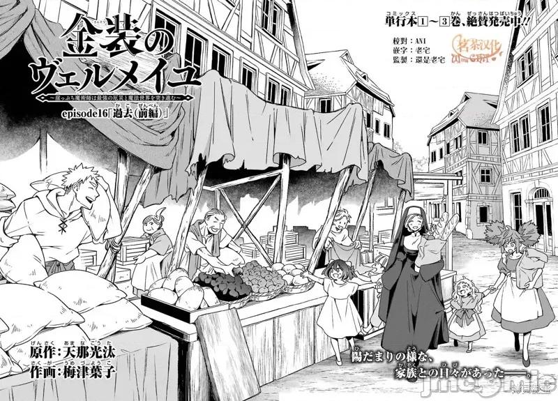 金装的维尔梅 金装的维尔梅 16.1 第6页