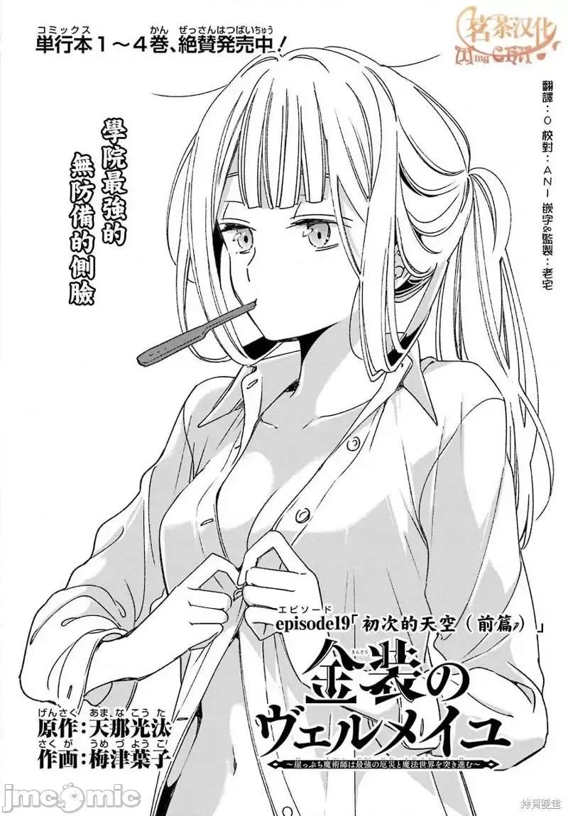 金装的维尔梅 金装的维尔梅 19.1 第11页