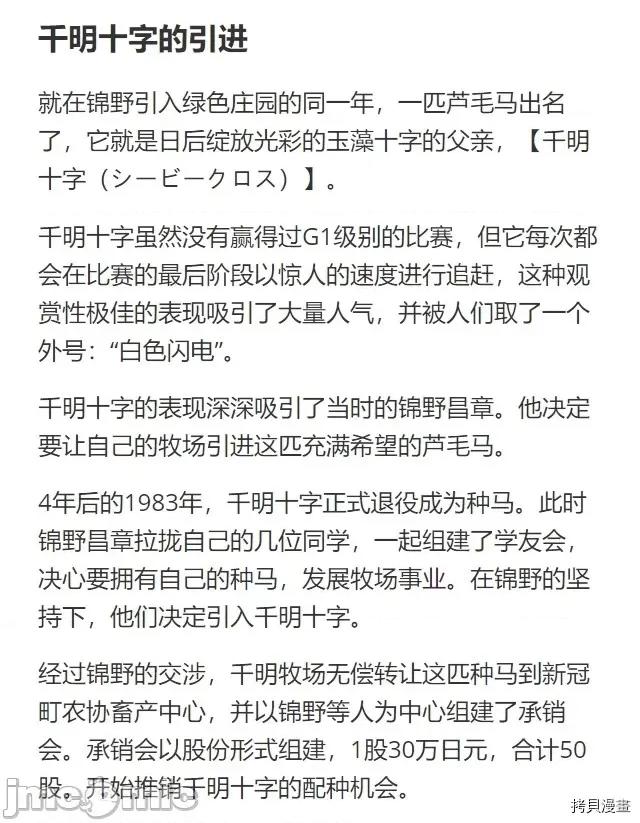赛马娘：芦毛灰姑娘 赛马娘：芦毛灰姑娘 30 第23页