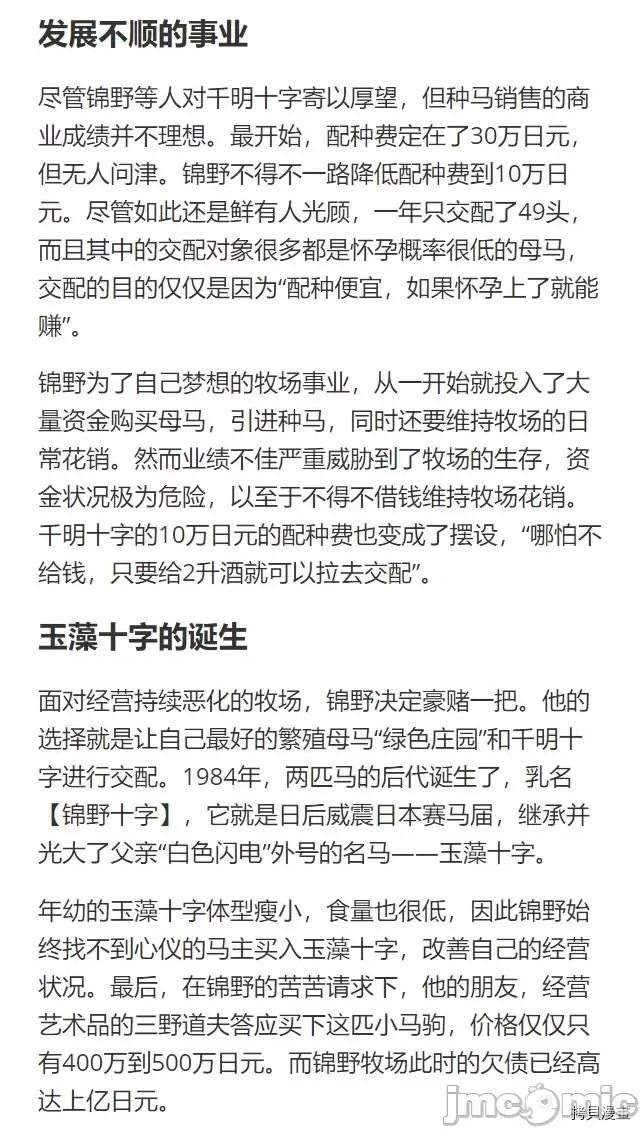 赛马娘：芦毛灰姑娘 赛马娘：芦毛灰姑娘 30 第24页