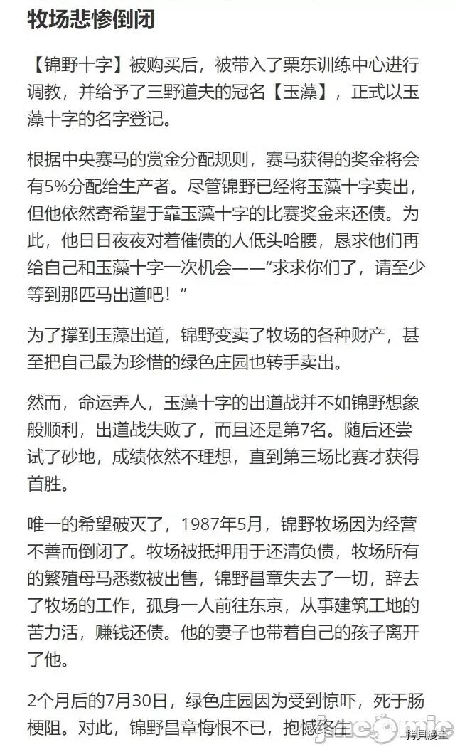赛马娘：芦毛灰姑娘 赛马娘：芦毛灰姑娘 30 第25页