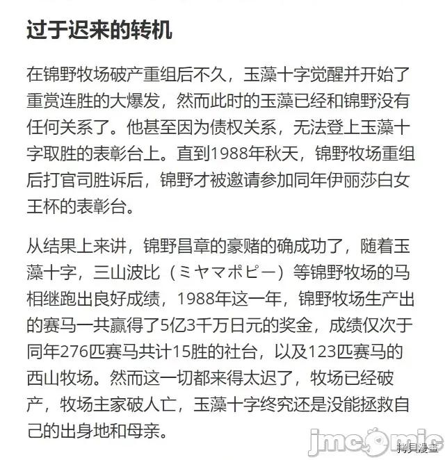 赛马娘：芦毛灰姑娘 赛马娘：芦毛灰姑娘 30 第26页