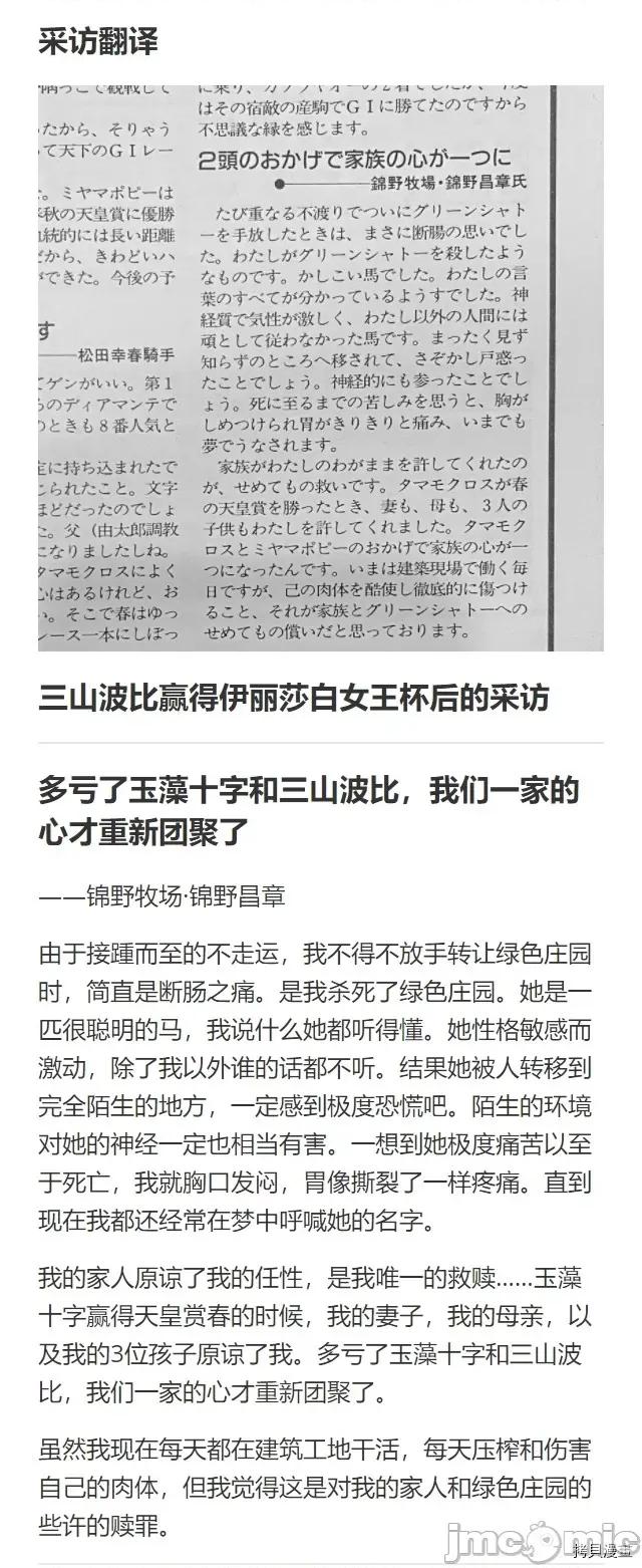 赛马娘：芦毛灰姑娘 赛马娘：芦毛灰姑娘 30 第27页