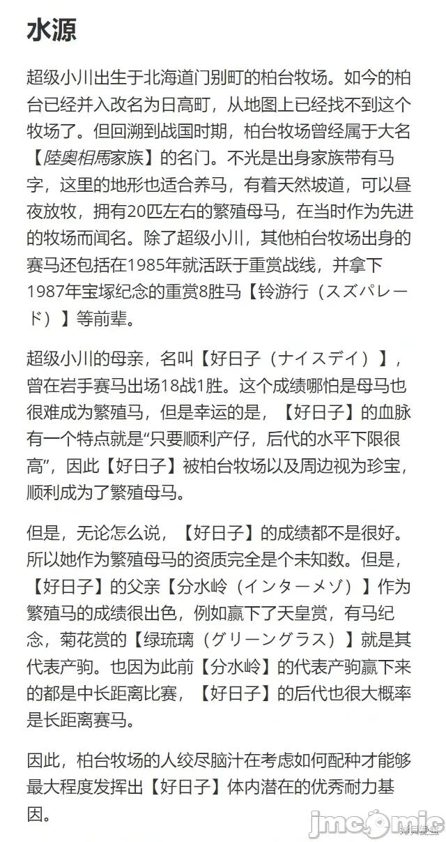 赛马娘：芦毛灰姑娘 赛马娘：芦毛灰姑娘第102话.zip 第23页