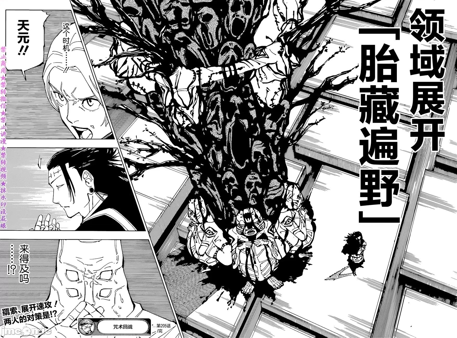 咒术回战 咒术回战第205话.zip 第16页