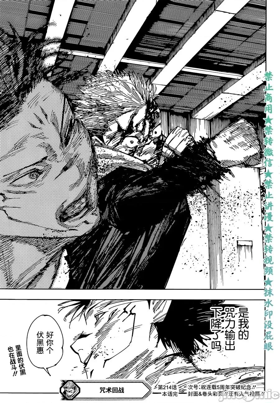 咒术回战 咒术回战第214话.zip 第17页