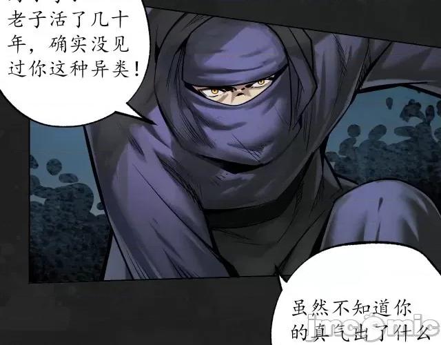 藏锋行 藏锋行119 趁乱救人.zip 第33页
