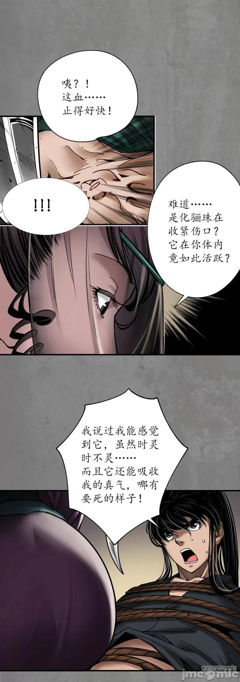 藏锋行 藏锋行_化骊之识.zip 第4页