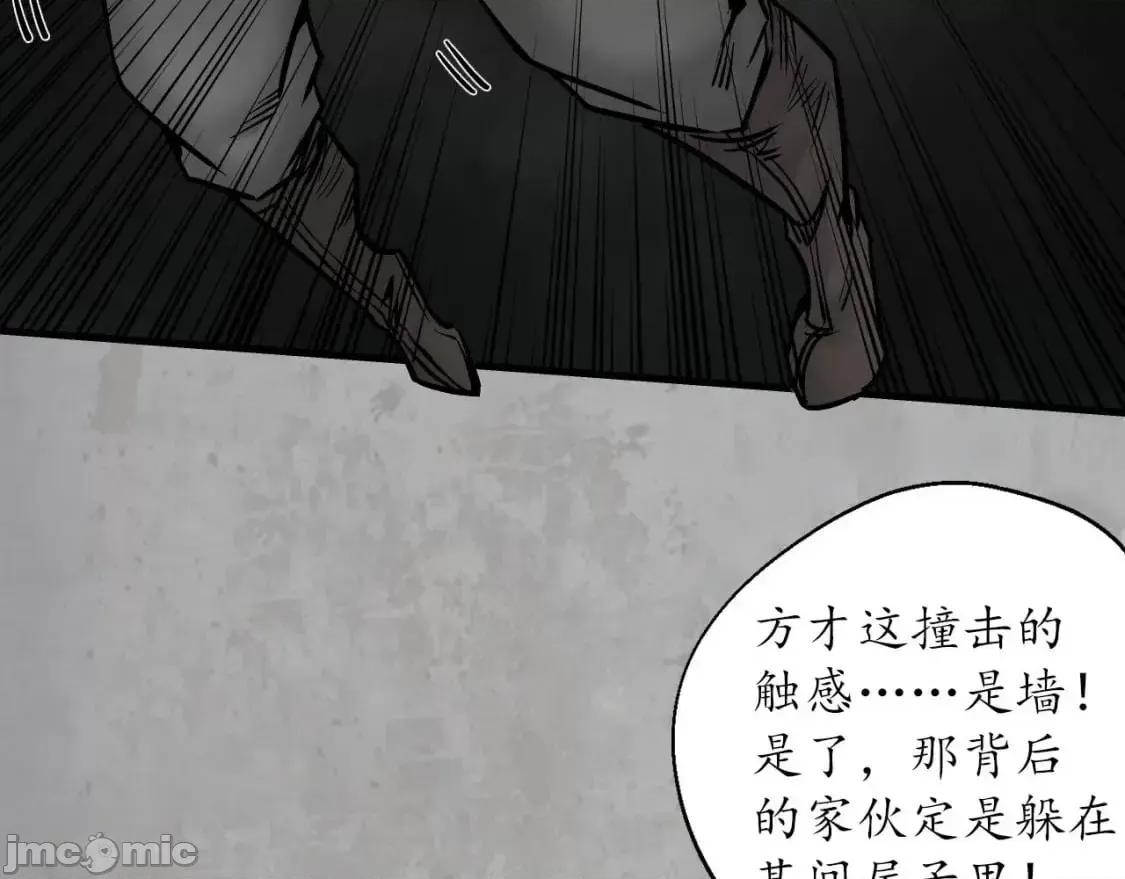 藏锋行 藏锋行_204_伏形大阵 第91页
