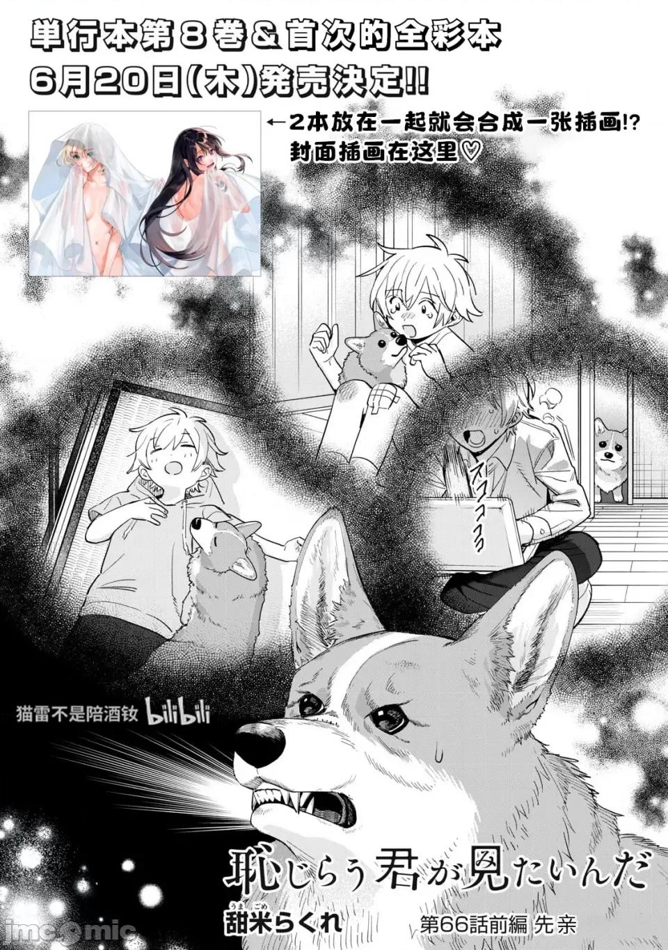 想看妳羞耻的模样 66.1 第2页