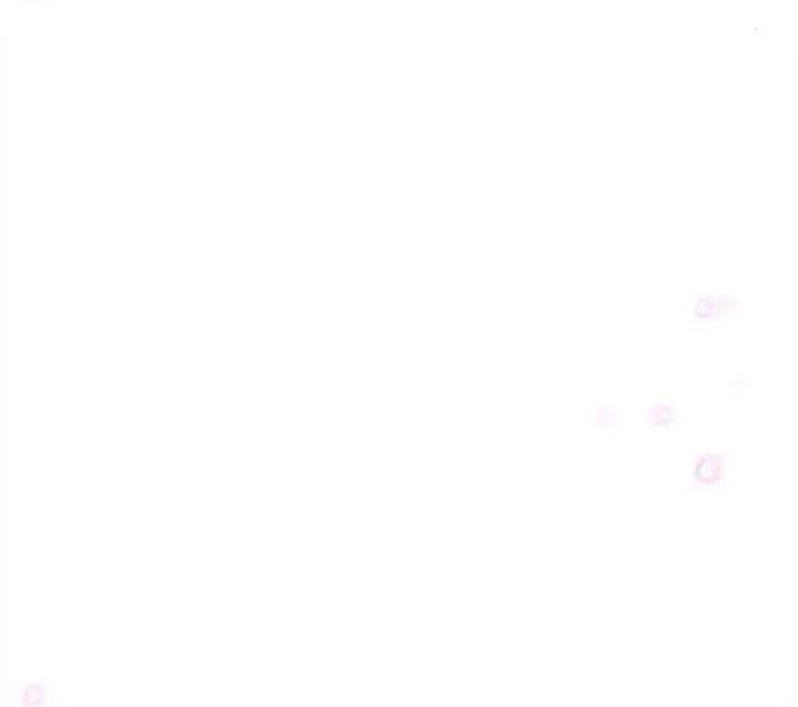 魔神的新娘 魔神的新娘-第 47 话 第143页