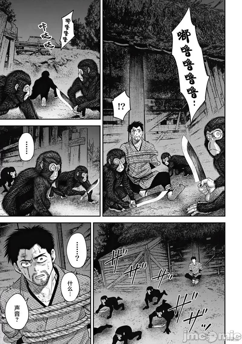 猴戏 猴戏 第5页