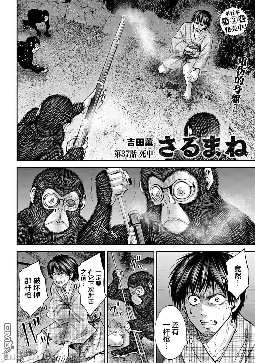 猴戏 猴戏_37 第2页