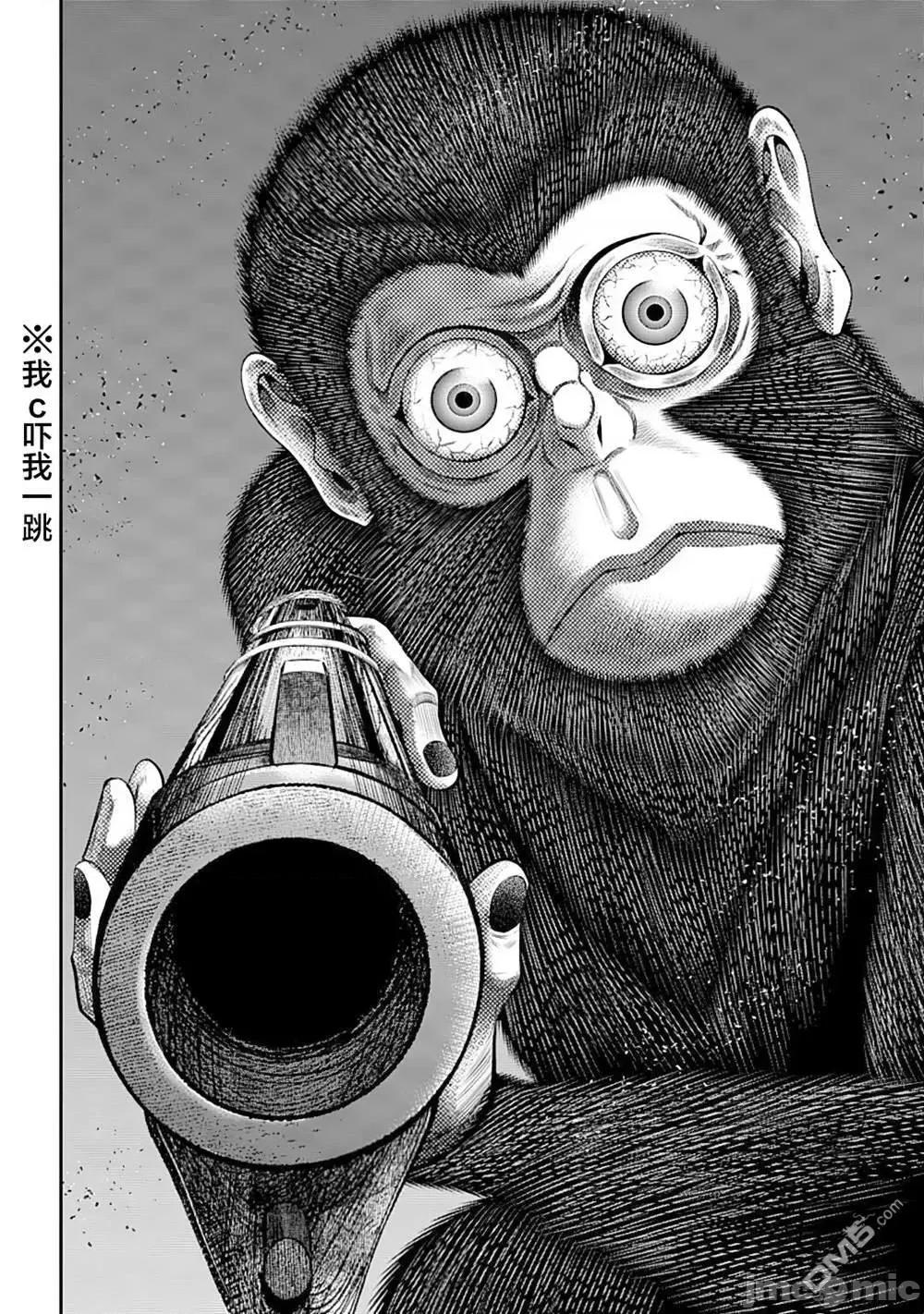 猴戏 猴戏_37 第4页