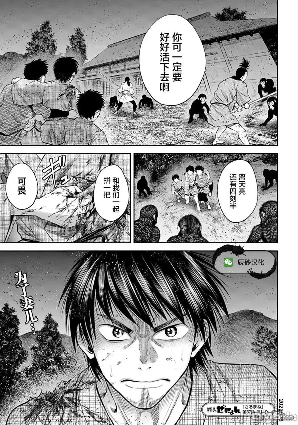 猴戏 猴戏_37 第15页