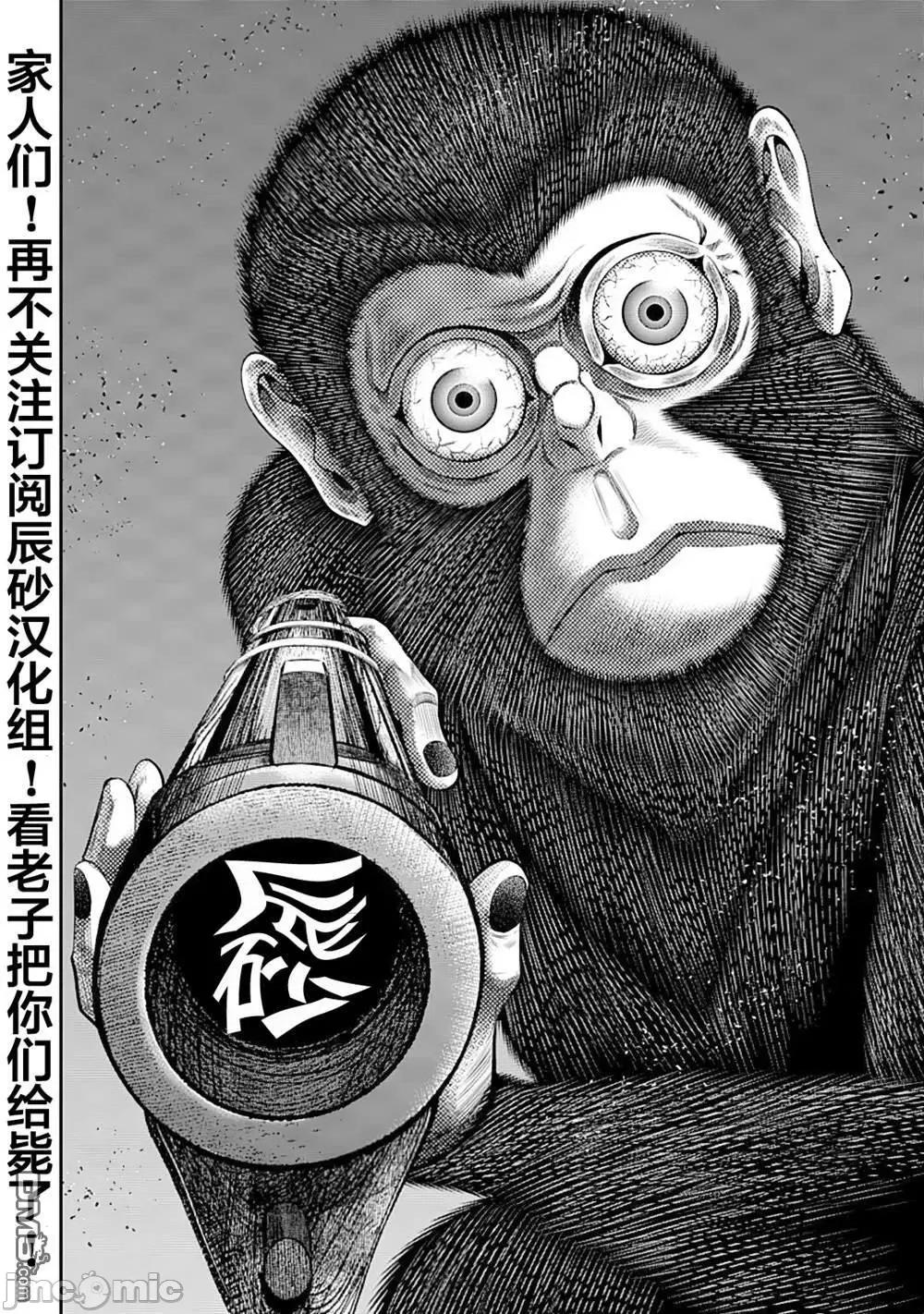 猴戏 猴戏_37 第18页