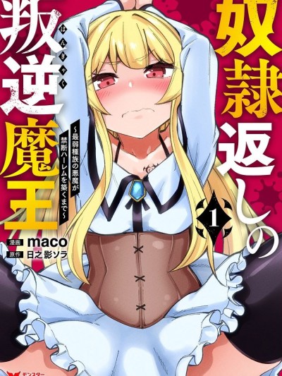 反向奴隸支配的叛逆魔王～最弱種族的惡魔建立起了禁忌後宮