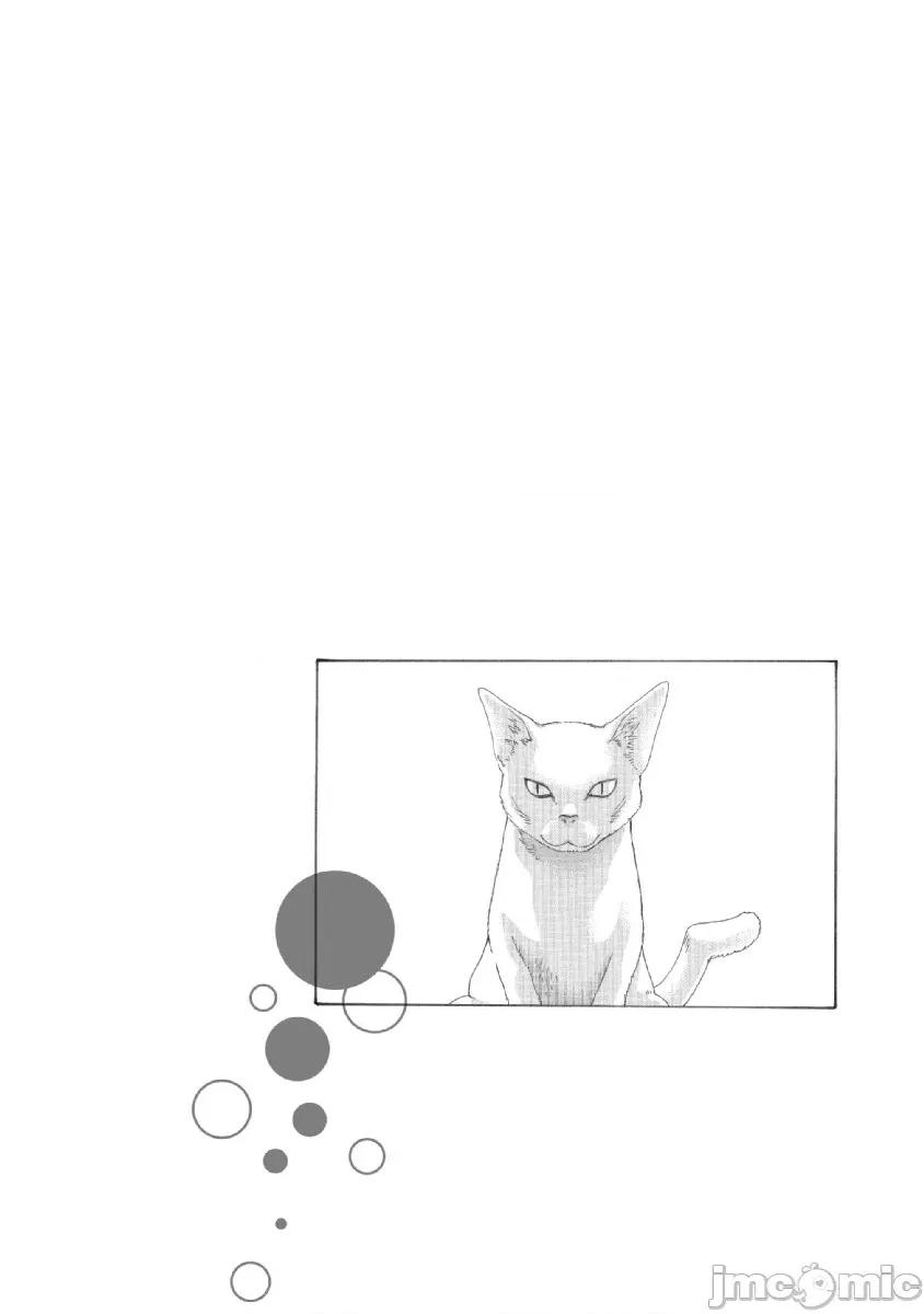收费员猫咪小玉 番台猫のタマさん 6+6.5 第18页