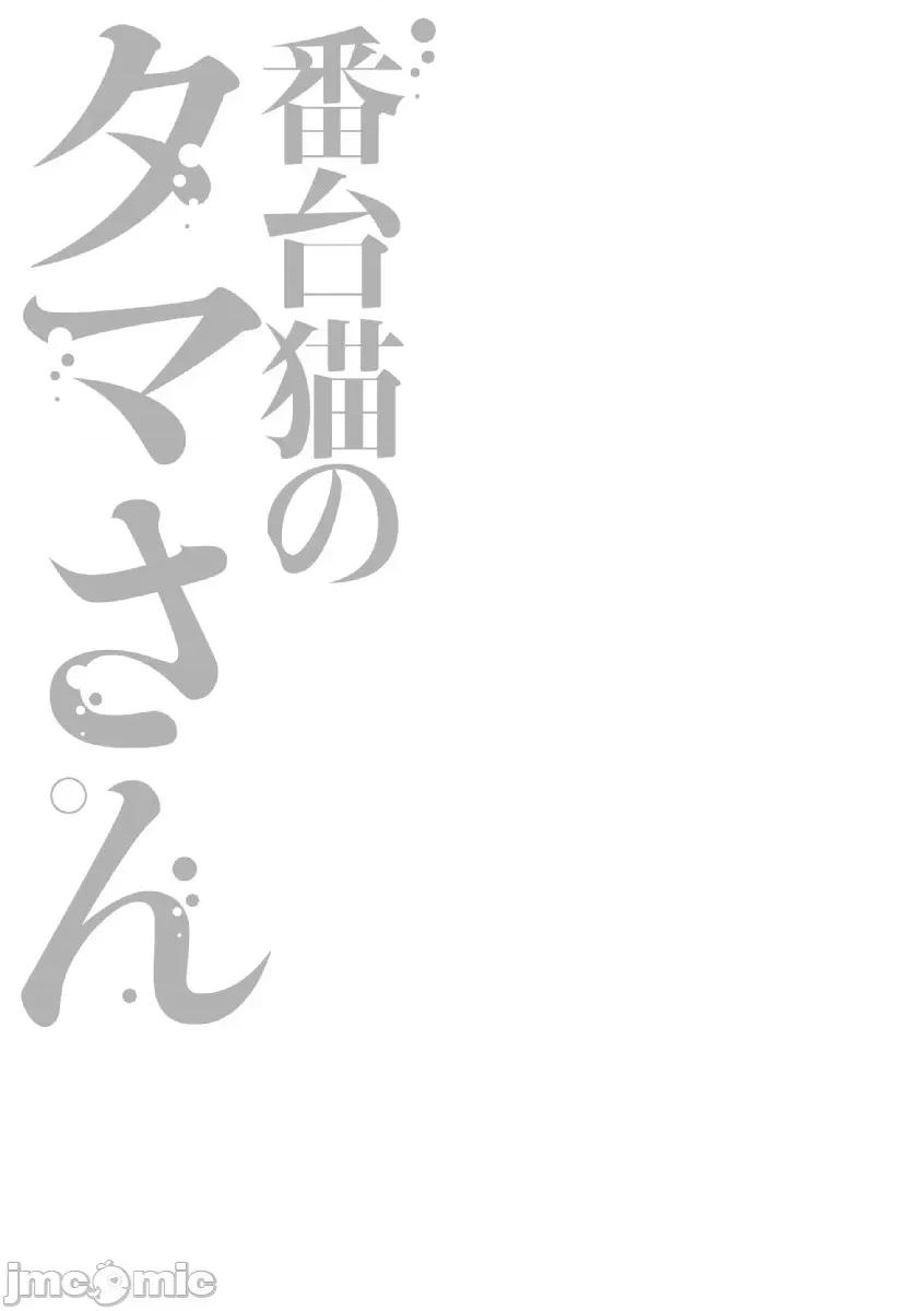 收费员猫咪小玉 番台猫のタマさん 12 第9页