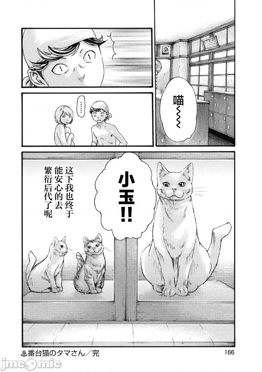 收费员猫咪小玉 番台猫のタマさん 19 第8页