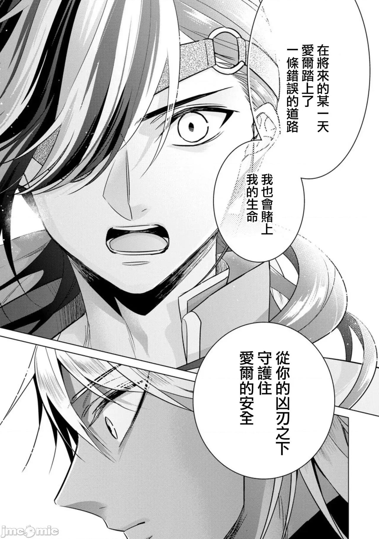 王の傍ら 狂王子の歪な囚爱～女体化骑士の十月十日～20 第39页